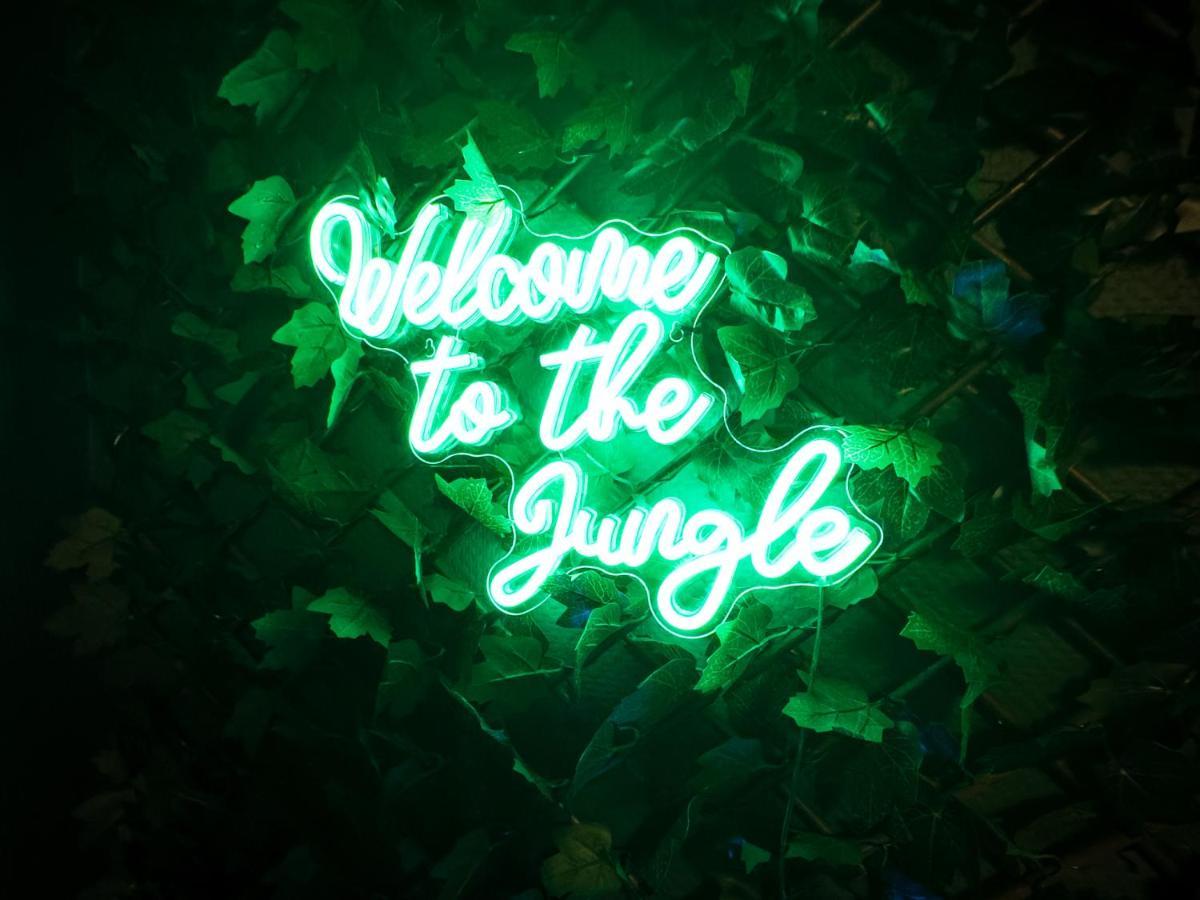 Jungle Urbain- Sauna - Cine - Hamac - Hyper Centre 아미앵 외부 사진